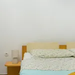 Rakic 아파트 *